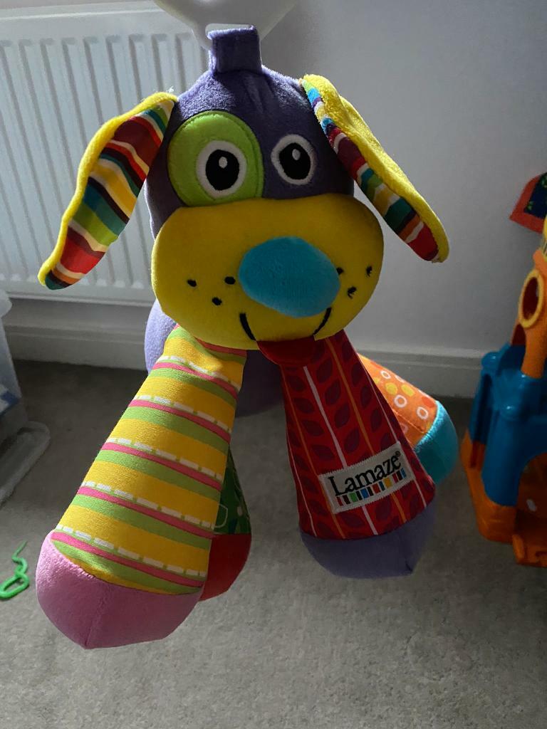 lamaze puppy